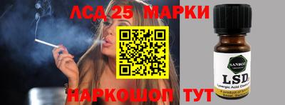 прущие грибы Краснодар