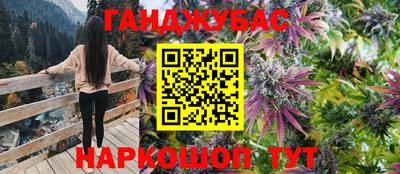 меф Краснознаменск