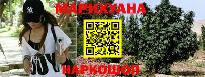 прущие грибы Краснодар