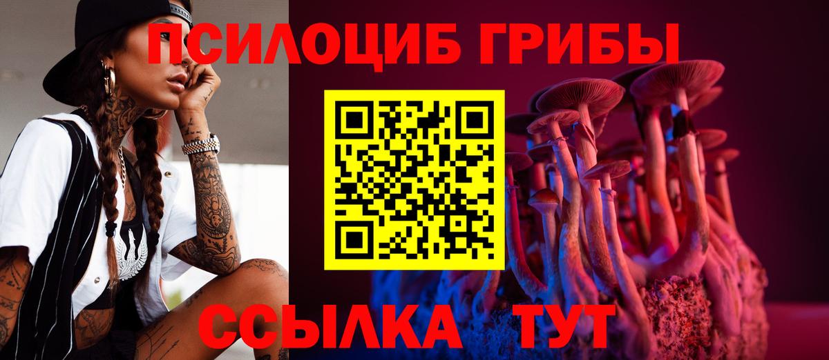Галлюциногенные грибы Psilocybe  Галлюциногенные грибы MAGIC MUSHROOMS  Вход с VPN  купить наркотик  Тара 